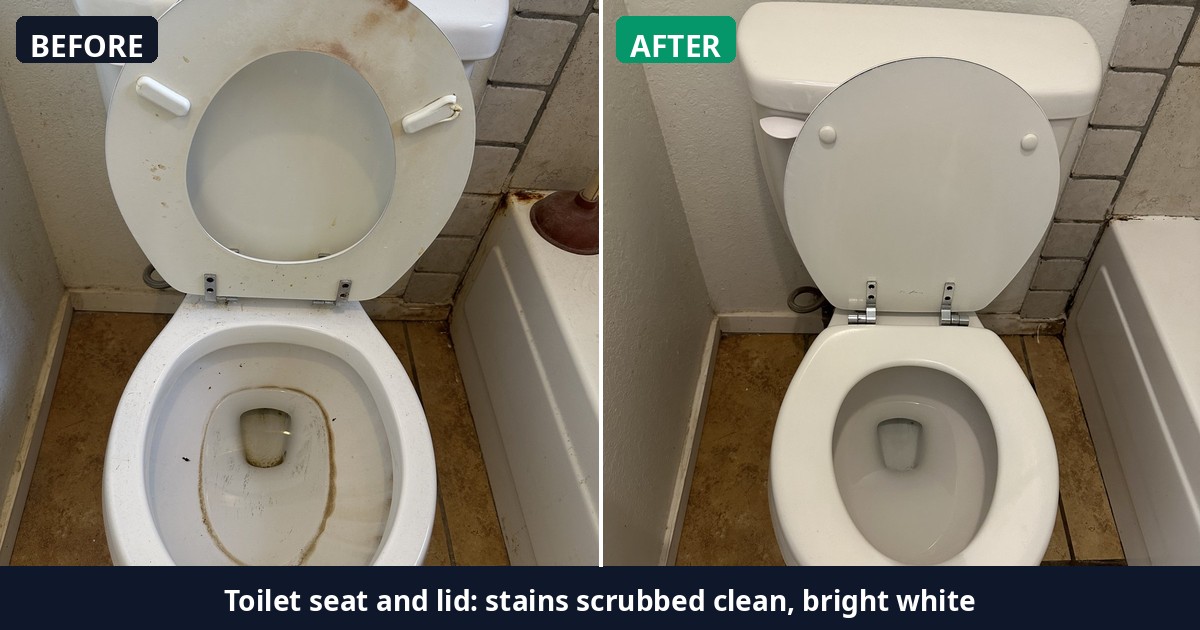 Before and after: Toilet seat and lid: stains scrubbed clean, bright white — Alex's Cleaning Service, Tucson AZ